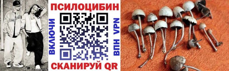 наркота  Топки  Галлюциногенные грибы мухоморы 