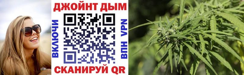 Каннабис сатива  Топки 